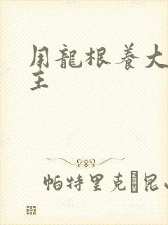 用龙根养大的公主