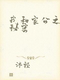 我和家公之间的秘密