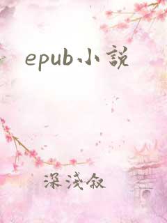 epub小说