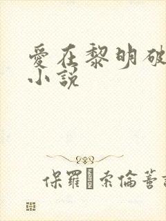 爱在黎明破晓前小说