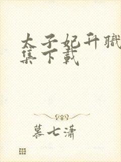 太子妃升职记全集下载