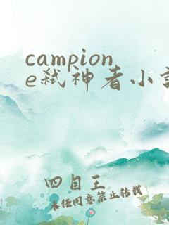 campione弑神者小说