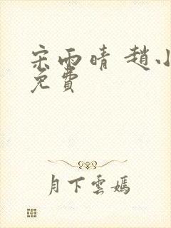 宋雨晴 赵小刚免费