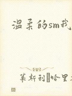 温柔的sm我