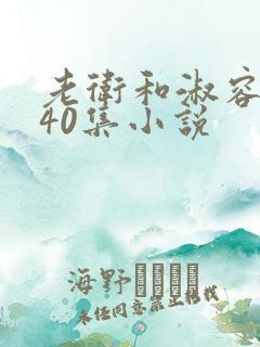 老卫和淑容1-40集小说
