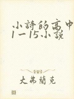 小诗的高中日记1一15小说