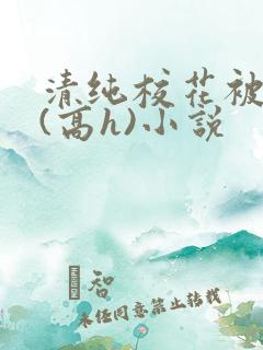 清纯校花被调教(高h)小说