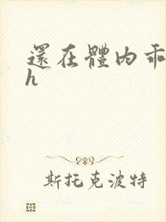 还在体内乖吃饭h