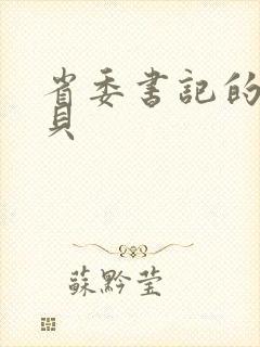 省委书记的小宝贝