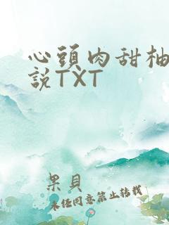 心头肉甜柚子小说TXT