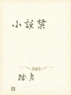 小说禁