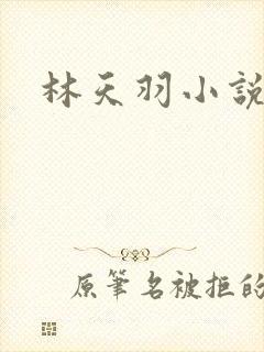 林天羽小说