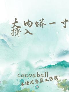 大肉蟒一寸一寸挤入