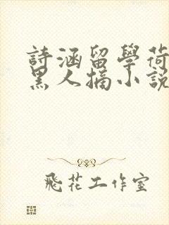 诗涵留学荷兰被黑人摘小说