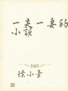 一夫一妻的玄幻小说
