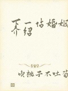 下一站婚姻剧情介绍