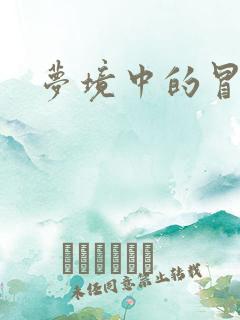 梦境中的冒险家