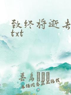 致终将逝去青春txt