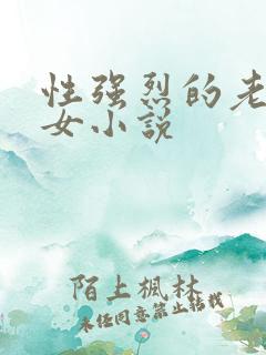 性强烈的老年妇女小说