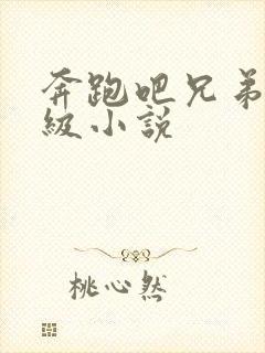 奔跑吧兄弟限制级小说