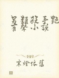 另类杀手艳福星有声小说