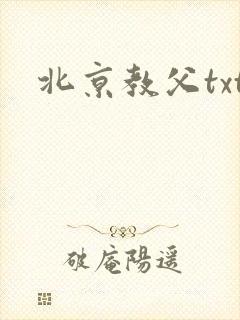 北京教父txt