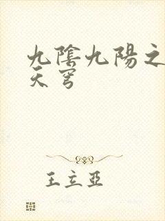 九阴九阳之武战天穹