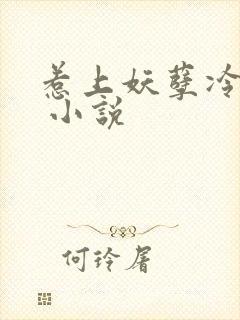 惹上妖孽冷殿下 小说