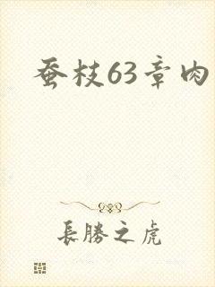 蚕枝63章肉