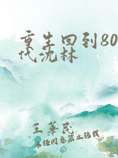 重生回到80年代沈林