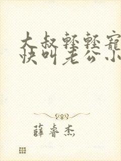 大叔轻轻宠宝贝快叫老公小说