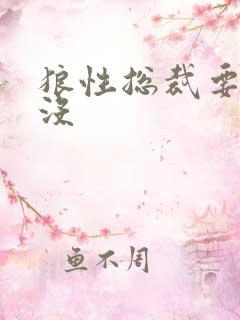 狼性总裁要够了没