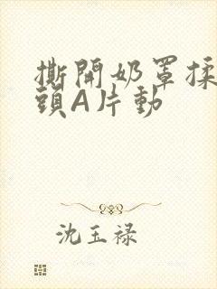 撕开奶罩揉吮奶头A片动