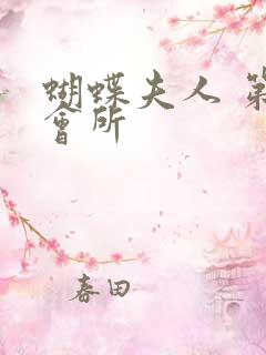 蝴蝶夫人 第一会所