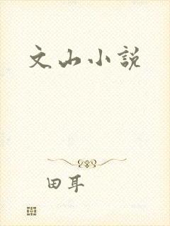 文山小说