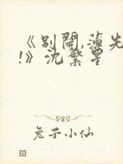 《别闹,薄先生!》沈繁星