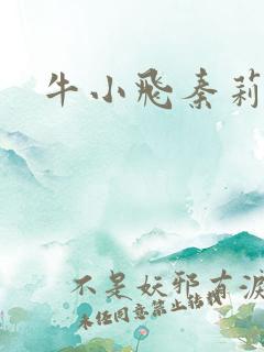 牛小飞秦莉莉