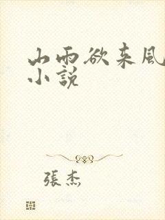 山雨欲来风满楼小说