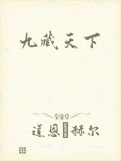 九藏天下