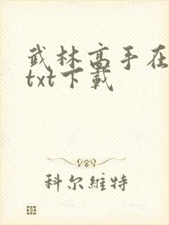 武林高手在校园txt下载
