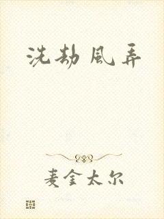 洗劫 风弄