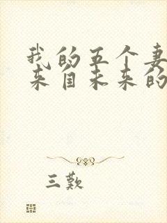 我的五个妻子和来自未来的孩子