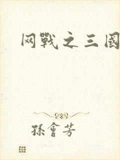 网战之三国霸业