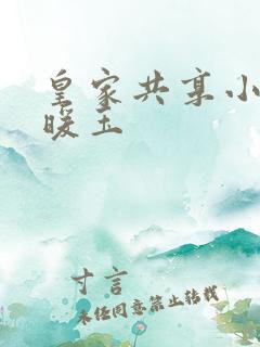 皇家共享小公主暖玉