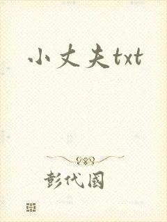 小丈夫txt