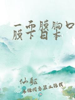 一面膜胸口一面膜下日本