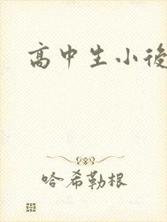 高中生小后妈