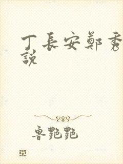 丁长安郑秀兰小说