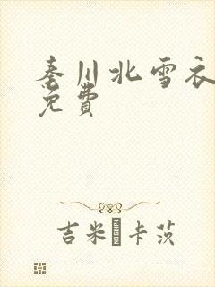 秦川北雪衣小说免费