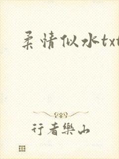 柔情似水txt